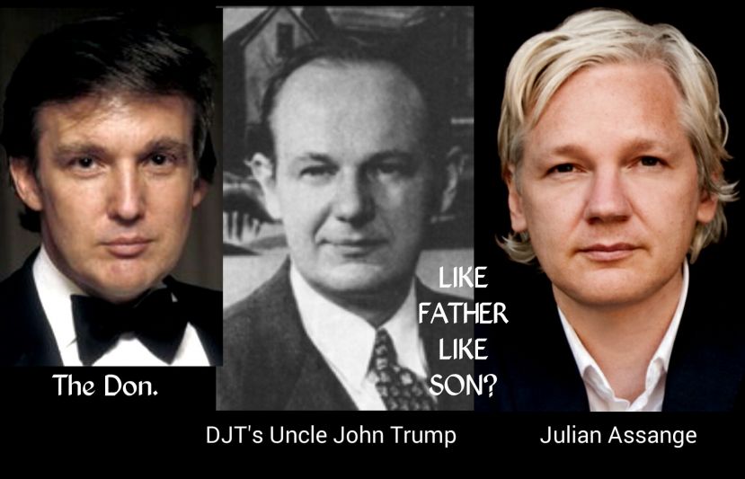 Sind der Präsident der Vereinigten Staaten Donald J. Trump und Julien Assange Cousins? Die verblüffende Ähnlichkeit ist vorhanden