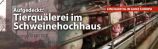 Aufgedeckt: Tierquälerei im Schweinehochhaus bei Halle an der Saale
